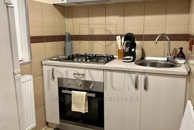 LIPOVEI - APARTAMENT 1 CAMERA - mobilat, utilat, renovat complet - 5