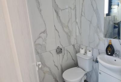 SPATIU DE INCHIRIAT -COMUNA BERCENI -VIDRA - 16