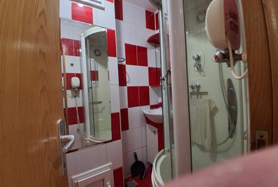 Apartament 2 camere de vanzare Lujerului - 11