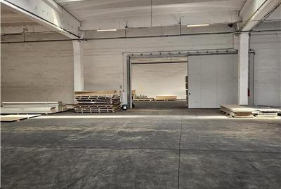 Spatiu Industrial - 4500 mp - Productie - Depozitare - Distributie - 18