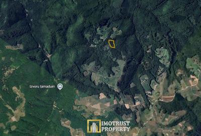 De vânzare teren extravilan  8,2037 ha pădure și pășune Borod, Bihor - 4
