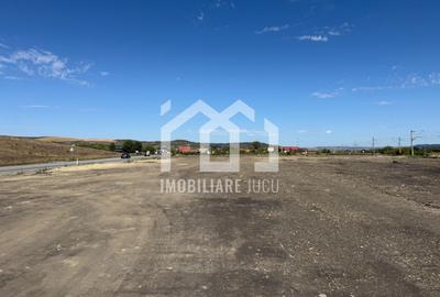 Teren Industrial 6300mp | Intrare din DN1 | Rascruci - 5