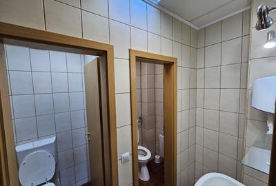 Spatiu comercial Calea Dumbravii - 7