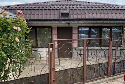 Vand casa cu livada si solar + spatiu comercial in sat Cismele (1498 mp) - 1