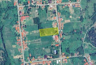 Teren Intravilan in zona Trei Ape, 6889 Mp., 14,5 Euro Mp., Brebu Nou - 1