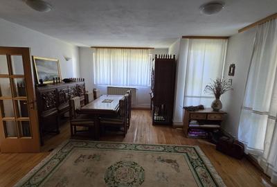 Vanzare vila P+1+M cu 5 camere, casa batraneasca , 2 garaje, teren 9249mp, - 6