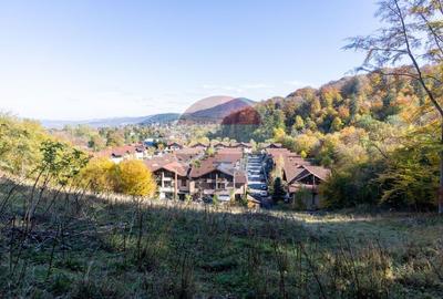 Teren 2,900mp Brasov / Strada Ciresului - 16