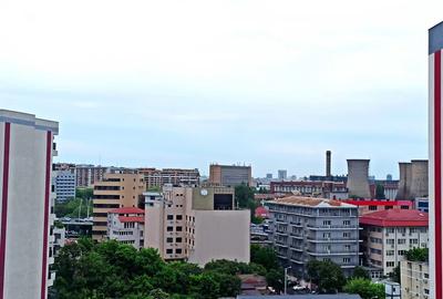 Regie Residence | 2 Camere | Centrala | Pet Friendly | Balcon | - 8