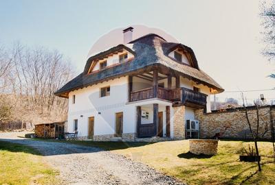 Casă cu arhitectura traditionala romaneasca I Salicea I Cluj - 23