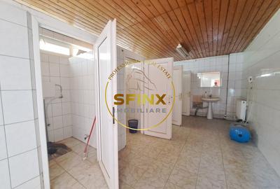 De inchiriat spatiu depozitare - productie - 5