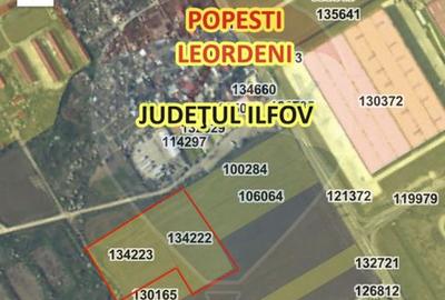 Teren intravilan 20,000mp Popesti-Leordeni intre centura Buc si A0 - 2