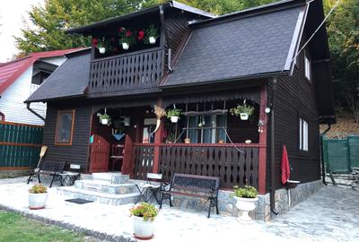 Proprietate de exceptie pe Transfagarasan,la poalele muntilor Fagaras - 5
