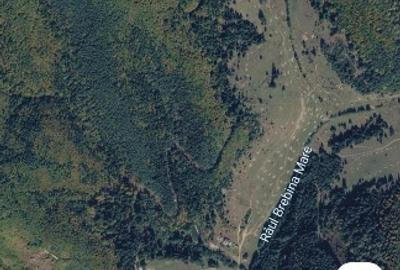 Teren Construcții intravilan de 18100 mp, în Brebina