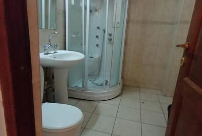 Centru apartament cu 4 camere si garaj proprietate - 10