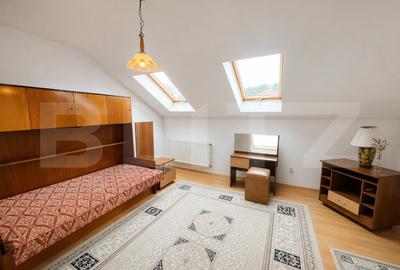 Casa individuala zona excelenta, Dambu Rotund, 307 mp curte - 9