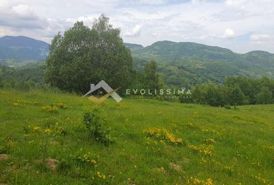 Investitie Teren intravilan 11.396 mp Moieciu de Jos - 6