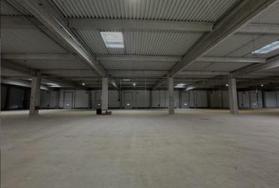 Chirie- Spatiul Industrial/ Depozit 1800mp - Teren 5800 mp -Jilava - 3