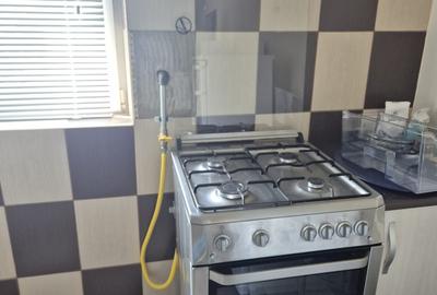 Apartament cu gradina, foisor si bucatarie de vara in Vidra - 9