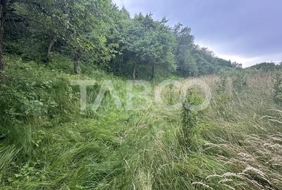 Casa 3 camere 5335 teren liber garaj si anexe  in Sinca Veche - 16