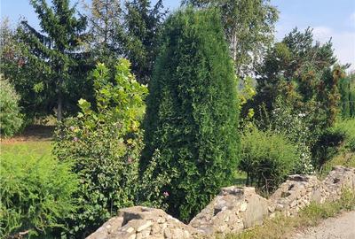 Teren intravilan - ultimul lot de 698mp in Sacel - zona lacuri - 22