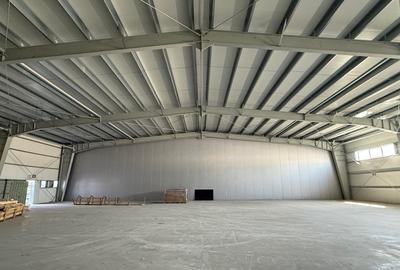 Spațiu industrial, 850 mp în Exterior Vest