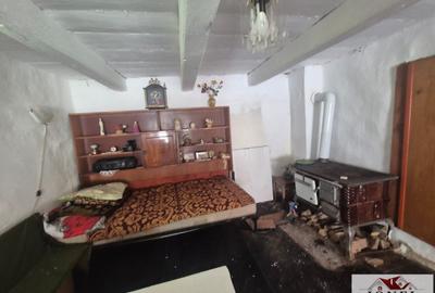 Vanzare casa in Muntii Apuseni - 6