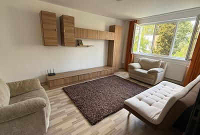 Proprietar, Drumul Taberei, Valea Argesului, Aleea Parva - 1