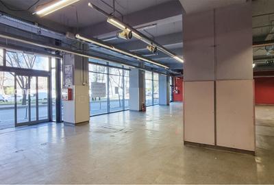 Spatiu Comercial | Ultracentral | Nicolae Titulescu | Piata Victoriei - 4