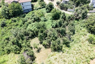 Curte 3200 mp Bolintin Vale, intravilan, intre case - 20