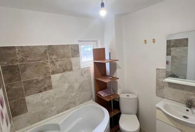 Apartament 2 camere la curte - 7