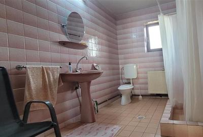 Casa individuala garaj pivnita curte superba Talmaciu - 18