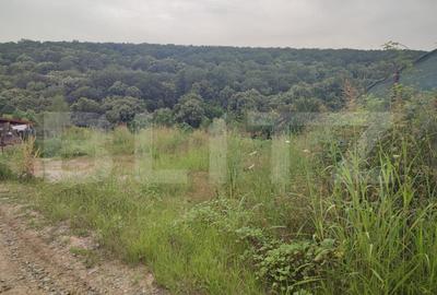 Teren Construcții intravilan de 2350 mp, în Leamna de Jos