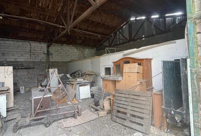 Complex industrial/Ferma de vânzare | Orțișoara, jud. Timiș - 38