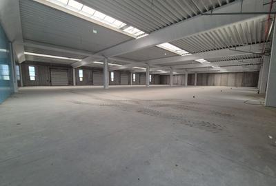 HALĂ INDUSTRIALĂ MODERNĂ DE VANZARE| CHITILA | ACCES RAPID CENTURA - 4