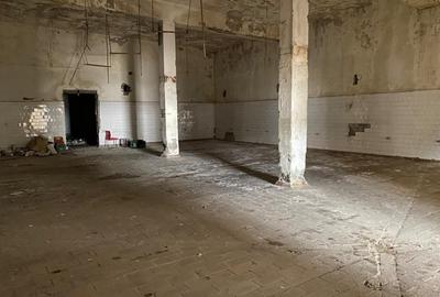 Hale industriale, 30000 mp, teren 65000 mp, zona Podari - 2