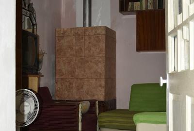 CASĂ TRADIȚIONALĂ CU GRĂDINĂ GENEROASĂ ȘI VIE – ISACCEA, JUD. TULCEA - 11