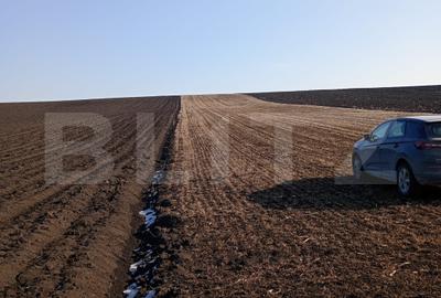 Teren agricol extravilan de 4200 mp, în Periferie