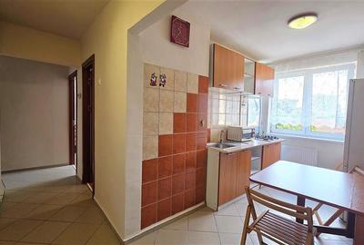 Apartament 2 camere, Centrul Civic, mobilat si utilat - 9