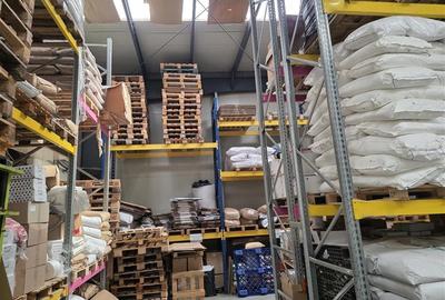 Vanzare hala/depozit/spatiu industrial Magurele - Centura, ILFOV - 11
