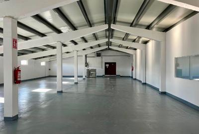 Hala de inchiriat in Satu Mare I Parc Industrial ARELI I 162 mp I 324 mp I900 mp - 5