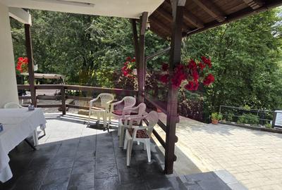 Vila din padure in Valea Doftanei - 31