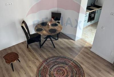 Inchiriez apartament la casa cu curte proprie - Zona Paris - 6