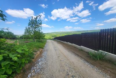 Teren de vanzare Barnova, cu priveliste Vanzare imediata langa case - 2