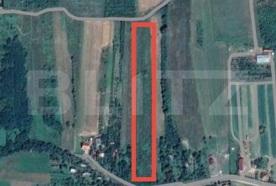 Teren Construcții intravilan de 12765 mp, în Viile Satu Mare