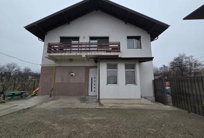 Casă cu 6 camere în Lunca Cetățuii