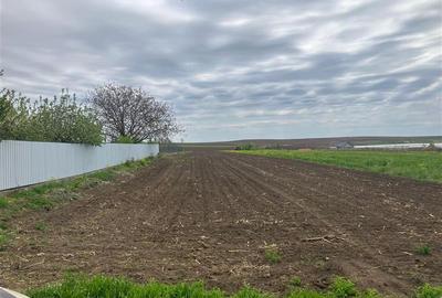Teren intravilan de 5000 mp, în Dumești