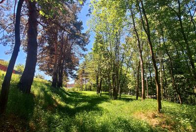 Teren intravilan de vânzare-3600 mp-str. Visinilor-Cisnadioara! - 2