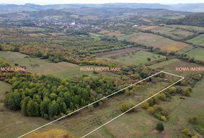 Teren extravilan de 16116 mp, în Berchez