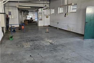 Exclusivitate - Proprietate Industriala De Vanzare - Productie - Depozitare - 9
