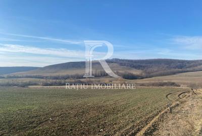 Teren agricol extravilan de 3900 mp, în Sud-Est